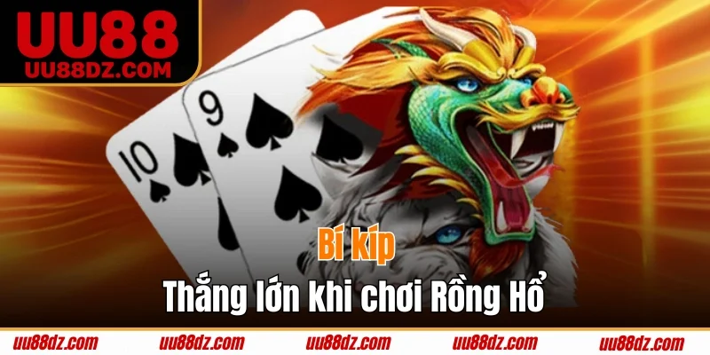 Kinh nghiệm vào tiền hiệu quả khi chơi Dragon Tiger