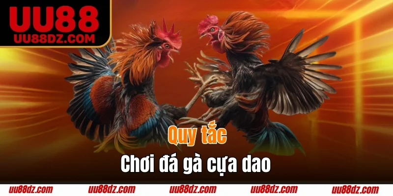 Tìm hiểu quy tắc chơi đá gà cựa dao