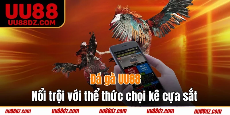 Đá gà UU88 nổi trội với thể thức chọi kê cựa sắt