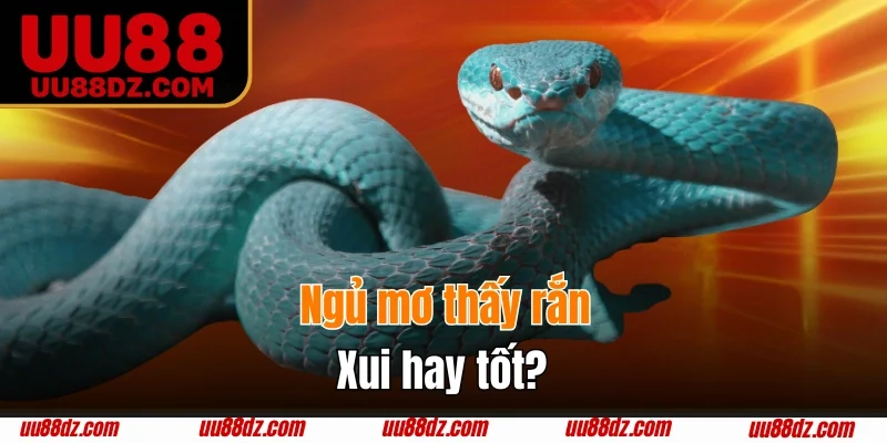 Ý nghĩa về những lần ngủ mơ thấy rắn